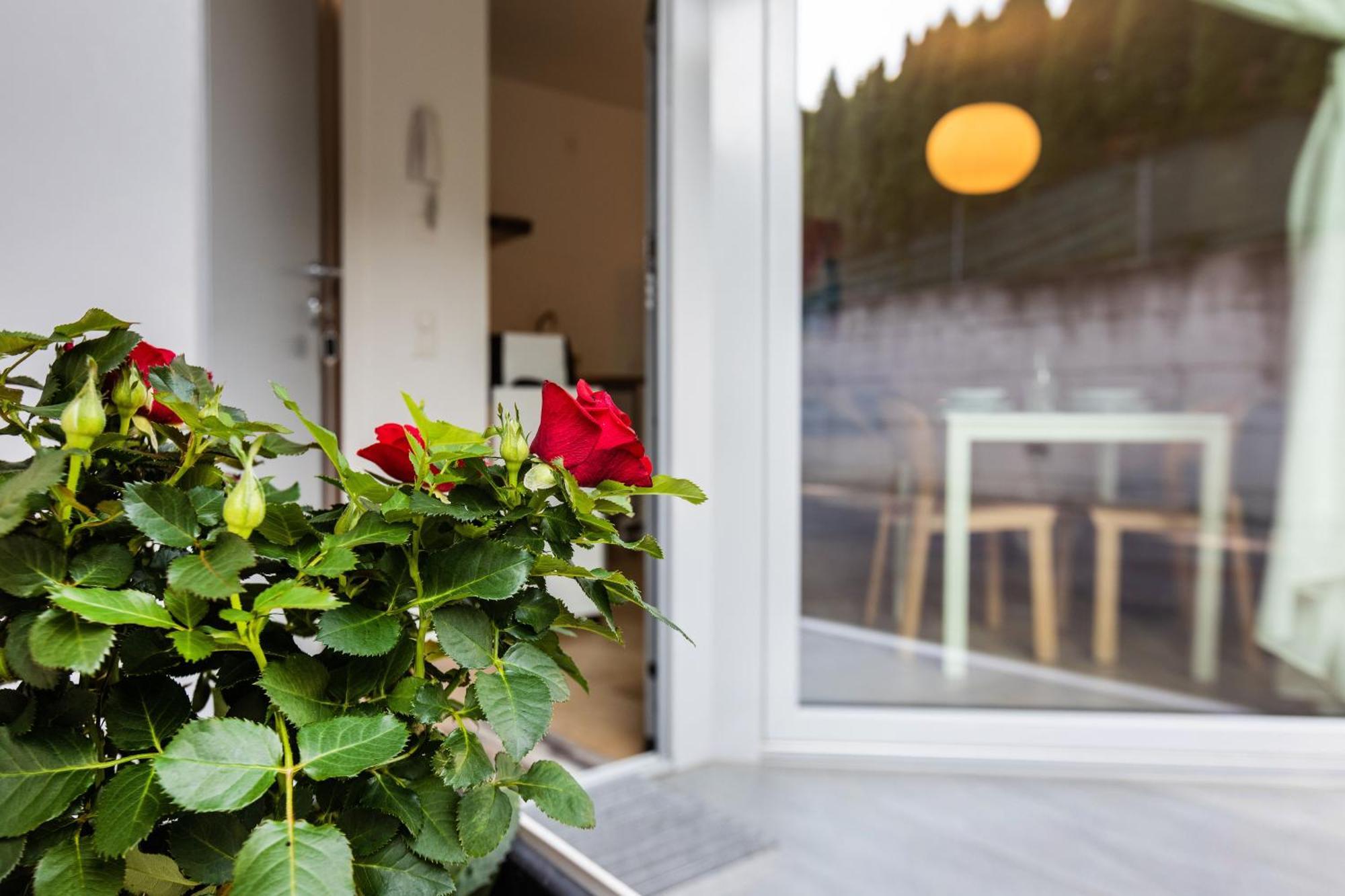 Easy Flat Vezia, Indipendent Entrance, Free Parking *